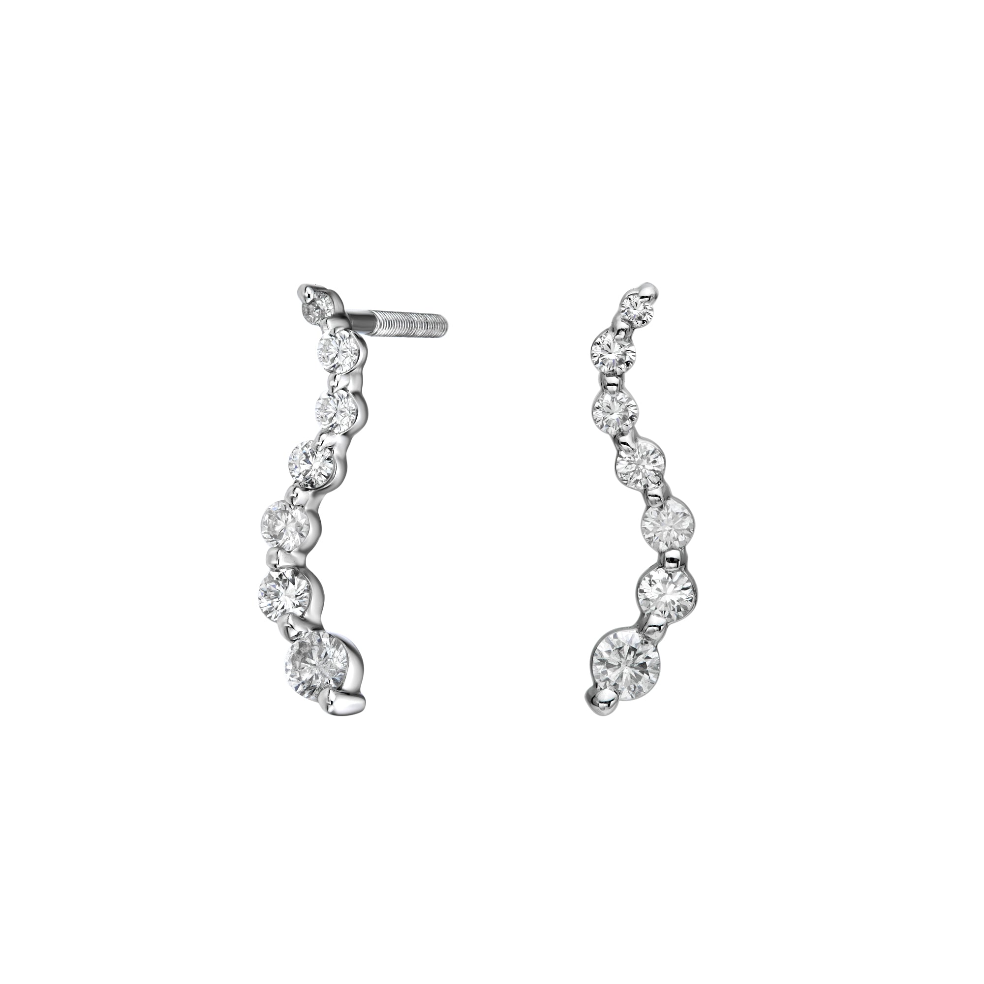 Curved Graduated Drop Earrings